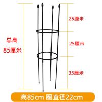 月季花架爬藤架包塑铁管花支架植物攀爬藤架子阳台铁线莲园艺欧式 黑色 25厘米高(4杆1圈)单层平顶