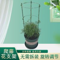 欧式爬藤花支架植物月季铁线莲紫藤支架攀爬花架阳台支撑架园艺 欧式不带顶[高0.6米]