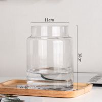 欧式ins 简约透明玻璃花瓶水培鲜花玫瑰百合插花花瓶客厅餐桌摆件 1518透明色