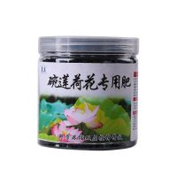 专用肥 碗莲营养液 家用花肥料 水培荷花专用营养液 碗莲专用肥料 碗莲专用肥1 瓶