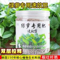 绿萝盆栽专用肥料花卉绿萝植物颗粒释缓肥有机通用型肥料 绿萝单瓶颗粒肥