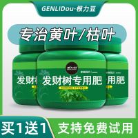 发财树肥料专用肥花肥家用室内植物盆栽通用型养花化肥营养复合肥 发财树专用肥[买1送1 共发2瓶]