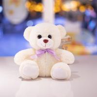 泰迪熊公仔抱抱熊抱枕布娃娃毛绒玩具熊大号生日礼物女生熊猫玩偶 白色 20厘米迷你型