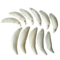 真黑狗牙吊坠男女项链护身符牙齿狼牙宝宝本命年辟邪骨质牙齿挂件 单颗2.5-2.9