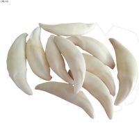 真黑狗牙项链情侣狼牙吊坠儿童辟邪狼狗饰品男士女骨质真牙齿 单颗2.5-2.9送绳