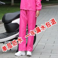 防水全身雨衣雨裤套装女款大人分体双层单件雨裤单条防暴雨服加厚 玫红单层[单条雨裤] M[适合80-105斤左右]