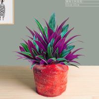 紫露兰盆栽油画吊兰花卉植物室内花好养净化空气办公桌面观叶绿植 紫露兰简装(不含盆)