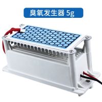 10g一体式加厚散热臭氧发生器配件长寿命蓝膜防潮合金片消毒机 220v5g槽式臭氧发生器