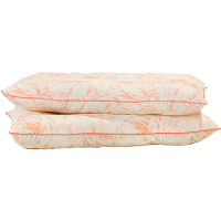 低枕头枕芯内胆颈椎护颈防螨虫助眠家用成人学生儿童单人一对套装 一个装40*60