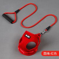 猫咪狗狗牵引绳狗链子牵引绳遛狗绳猫绳小型犬中型泰迪宠物用品 红色 胸背衣[扁绳小号3-8斤]