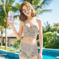 比基尼泳衣女性感三件套仙女范分体显瘦小胸聚拢保守夏季温泉泳装 0886257浅咖啡 M[80-95斤]
