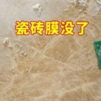 盾王瓷砖清洁剂去保护膜家用地板砖去除塑料薄膜除胶剂瓷砖去膜剂 500mL
