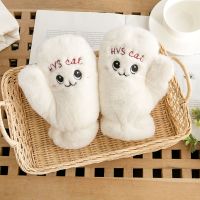 手套女秋冬季可爱骑行韩版潮卡通加绒加厚学生男写字保暖全指手套 白色[猫眼刺绣全指]