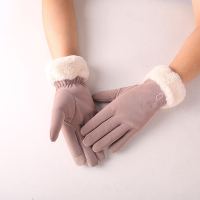 男女士手套秋冬触屏保暖加绒加厚户外骑行防水防风电动车可爱学生[11月21日发完] 可爱C猫[毛口配色]