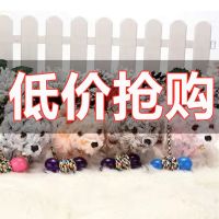 毛绒电动小狗儿童玩具仿真金毛犬狗狗会走路会叫宝宝男孩女孩礼物 中号小狗崽[颜色随机] [自备电池]