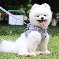 狗狗牵引绳小型犬比熊泰迪中型犬博美背心式狗链子遛狗绳宠物用品 反光大格子灰色+1.2米扁绳 XS[建议2斤左右]