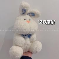 生日礼物女生闺蜜创意毕业高级感送女孩姐妹情侣男生朋友精致玩偶 白色小兔