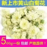黄山白菊花500g品优白菊花茶散装批发花草茶袋装安徽杭白菊花茶 500g