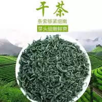 [半斤]高山绿茶日照充足2021新茶茶叶高山云雾炒青绿茶浓香耐泡 闽湛绿茶半斤(250g)袋装