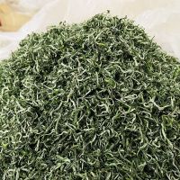 2021新茶绿茶袋装散装明前手工嫩芽浓香型耐泡茶高山云雾茶叶批发 云雾绿茶100g[试吃装]