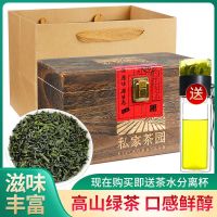 绿茶碧螺春2021新茶浓香型茶叶茶包批发独立包装高档实木礼盒装 [送茶水分离杯]绿茶72小包木盒装