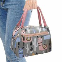 上班带饭包饭盒包防水便当包妈咪包饭盒袋女包女手提包手提布包 羊驼CQ