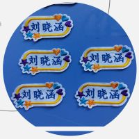 幼儿园宝宝名字贴刺绣儿童姓名贴布可缝校服衣服名字贴印章防水女 一套5个