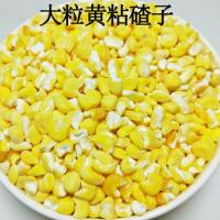 新粮东北粘苞米碴 5斤去皮粘玉米大碴子粘碴子 非转基因3斤 黄粘碴子大粒3斤