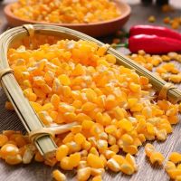 21年东北农家5斤玉米大碴子渣子杂粗粮笨大查子苞米碎碴玉米粥1斤 [精选玉米大碴子]500g*1袋