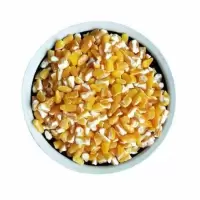 白粘玉米碴自大碴子新货糯玉米渣玉米粒东北特产杂粮批发大碴粥 笨玉米大碴子 3斤