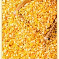 新磨2斤5斤装东北笨大碴子黑土地特产农家自产玉米碴子粥笨苞米渣 大碴子2斤装(保证当年新玉米)