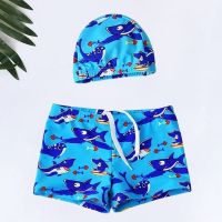 温泉儿童泳衣小中大男童泳裤平角可爱卡通学生大码游泳裤泳帽套装 鲨鱼 带帽 建议 15-25斤