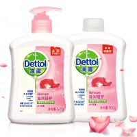 滴露 洗手液滋润倍护2瓶500g瓶装滋润花香1000g洗手液 (500g+500g)*1套