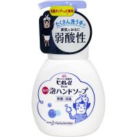 花王 KAO 抑菌植物泡沫洗手液家庭装水果淡香柑橘味可选 淡香型250ml