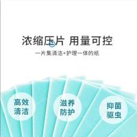 多效地板清洁片家用洗地砖神器厕所清新香型拖地液除垢剂增亮瓷砖 10片(体验装)