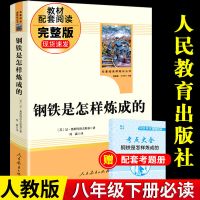 钢铁是怎样炼成的人民教育出版社人民文学中阅读完整版学校人教版 [人教版]钢铁是怎样炼成的