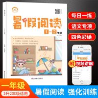 21版暑假阅读训练一二三四五六年级语文阅读同步写作升学强化训练 暑假阅读荣恒教育 1升2年级