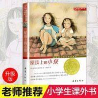屋顶上的小孩国际大奖小说三四五六年级中小学生课外小说文学阅读 屋顶上的小孩国际大奖