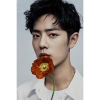 肖战马赛克拼图成人300片520片1000片木质爱豆周边生日礼物女闺蜜 1 300片(默认代拼分区)