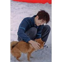 王俊凯马赛克成人拼图300/500/1000片明星周边创意生日礼物木质. 1 300片(默认代拼分区)