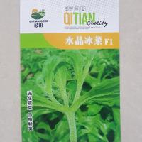 冰菜种子冰草菜冰菜苗特色稀有蔬菜种子春秋四季阳台菜园南方北方 冰菜种子原装1包