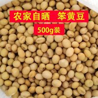 新豆笨黄豆豆腐豆浆黄豆非转基因农家自种黄豆五谷杂粮出浆率高 1斤 [老品种椭圆形土黄豆]