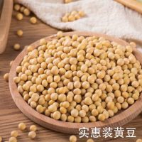 非转基因5斤10斤东北笨黄豆芽豆非转基因大豆生豆芽打豆浆批发 5斤实惠装