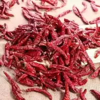 辣椒干特辣魔鬼椒香辣朝天椒批发辣椒粉粗中细微辣辣椒面切断超辣 [整个] 100克尝鲜装