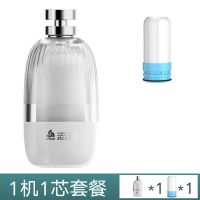 志高净水器前置款水龙头过滤器农村万能通用厨房自来水直饮净化器 基础款一机一芯[过滤余氯]