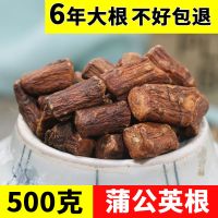 蒲公英根茶100g500g 六年大根婆婆丁茶蒲公英根茶叶 烘焙耐泡 六年大根100克