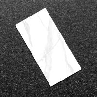 广东佛山大板瓷砖600x1200电视背景墙地板砖客厅地砖磁砖墙砖耐磨 大板通体-1 600*1200