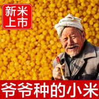 陕北米脂黄小米陕西新米农家小黄米月子宝宝米五谷杂粮粥香糯粘稠 试吃新小米1斤
