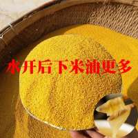 山西新黄小米 沁州产地黄小米 黄小米真空 新小米熬稀粥 月子贡米 1斤装 新小米 试吃