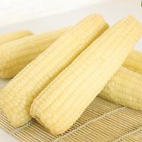 东北新鲜甜糯玉米棒白色玉米白糯玉米新鲜真空非转基因黏苞米10棒 白糯玉米 6根装